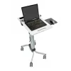 Multivides ratiņi Ergotron Neo-Flex Laptop Cart