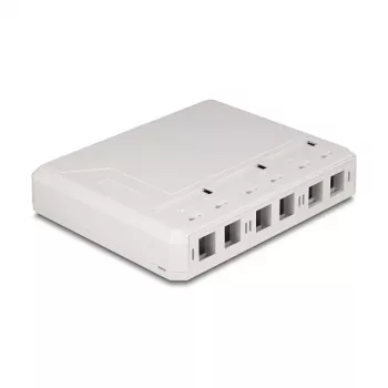 DeLOCK 67052 Keystone virsmas montāžas kārba optisko šķiedru moduļiem, 6 pieslēgvietas, balta