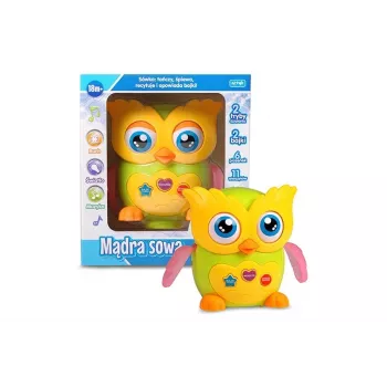 Izglītojoša interaktīva mācību rotaļlieta Artyk E-Edu Wise Owl modelis 137792 ar audio un gaismām