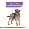 Sausā suņu barība Royal Canin Adult Poultry 1 kg — sterilizētiem mazo un īpaši mazo šķirņu suņiem, proteīns 30%, tauki 13%