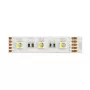 Synergy 21 LED Flex Strip 5050 - 60 RGB DC24V + RGB-W vienas mikroshēmas silts balts IP68