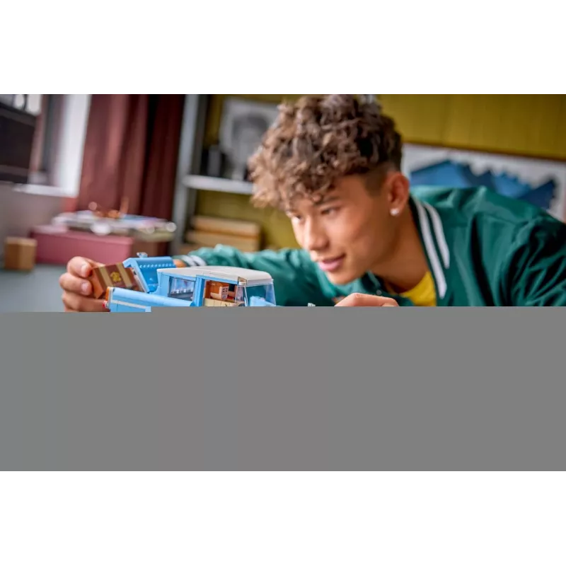 LEGO HARRY POTTER 76470 Apburtā lidojošā Ford Anglia