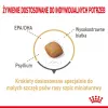 Sausā suņu barība Royal Canin Pomeranian Adult 3 kg — mazšķirnes formula pieaugušiem Pomerānijas špicam