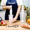 Blenderis Zelmer ZHB4560I Pulsar