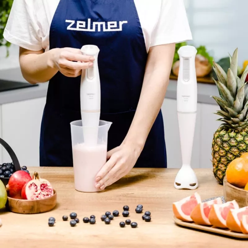Blenderis Zelmer ZHB4560I Pulsar