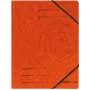 Parasta dokumentu mape Herlitz 972463 Kartons Oranža A4