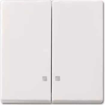 BUSCH JAEGER 2CKA001731A3996 - Svira - Balta - IP20
