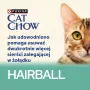 CAT CHOW Hairball Control Chicken Green Beans mērcē 85g