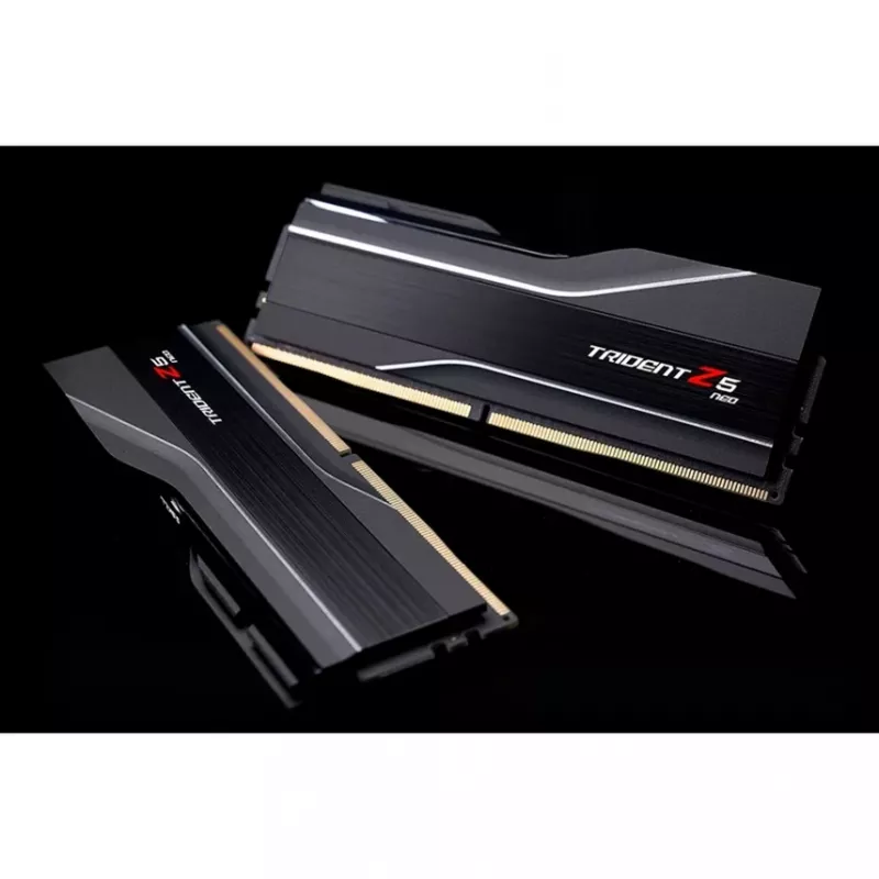 RAM modulis G.SKILL DDR5 64GB (2x32GB) 6000MHz CL30 288-pin DIMM 1.4V EXPO/XMP 3.0 ar heatsink