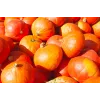 Uchiki Kuri Pumpkin Toraf Vegetable Seeds, 5g Pack