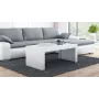 Cama TESS120 BI/BI kafijas / sānu / stūra galdiņš Kafijas galdiņš taisnstūra forma 2 kāja(-as)