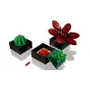 Lego Icons 10309 Sukulenti