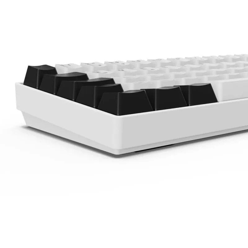 Sharkoon SGK50 S4 tastatūra Mājas USB QWERTZ Vācu Balta RGB LED 60%