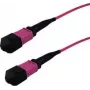 InfiniBand optiskās šķiedras kabelis GRAFENTHAL GTOM4MPOUMPOU00100 1m MPO OFC violets