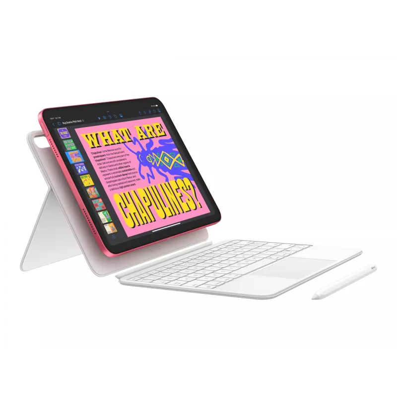 Apple iPad 256 GB 27,9 cm (11) Wi-Fi 6 (802.11ax) iPadOS 18 Rozā