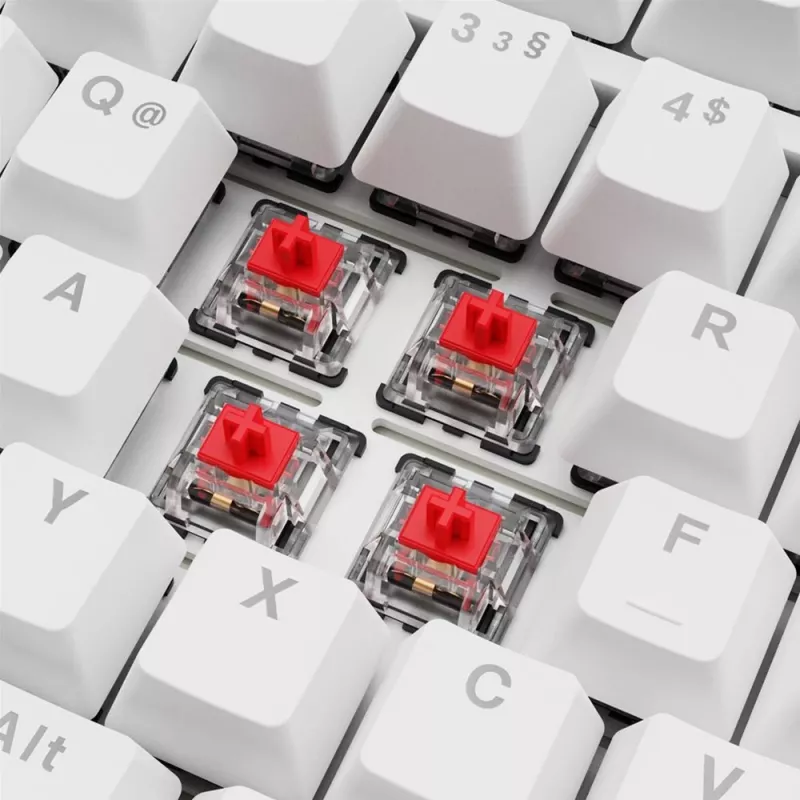 Sharkoon SGK25 75% QWERTZ USB vadu klaviatūra ar RGB LED, balta