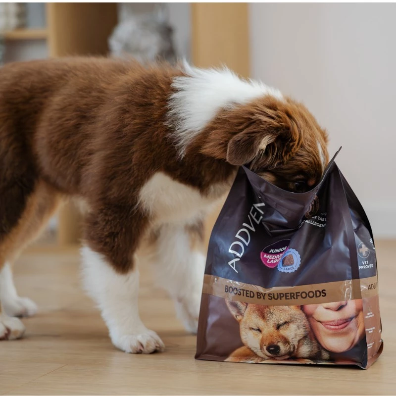 ADDVENA Boosted by superfoods Junior Medium/Large Beef - sausā suņu barība - 10kg