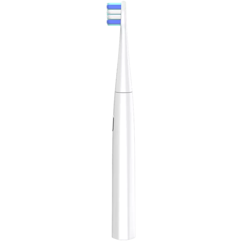Sonic zobu suka AENO DB7 Child sudraba balta