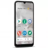 Doro 8100 Plus 15,5 cm (6,1 inch) Dual-SIM Android 11 Go Edition 4G USB Type-C 2 GB 32 GB 3000 mAh Pelēks (380501)
