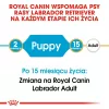 ROYAL CANIN SHN Breed Labrador Junior sausā suņu barība - 12 kg