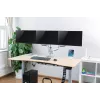 LogiLink BP0052 monitora stiprinājums / statīvs 81,3 cm (32) Galda Metālisks
