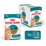 Mitrā kaķu barība Royal Canin FHN Ageing 11+ Gravy 12 × 85 g – pilnvērtīga mitrā barība senioriem paplātītēs
