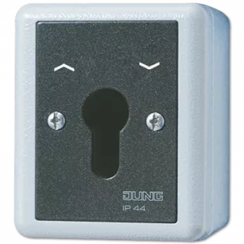 JUNG 834.28G elektriskais slēdzis ar atslēgu — melns un balts (834.28G)