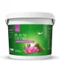 POKUSA RawDietLine Cistus — uztura bagātinātājs suņiem un kaķiem — 100 g
