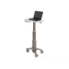 Klēpjdatora statīvs Ergotron C50-1100-0 Pelēks 39.6 cm
