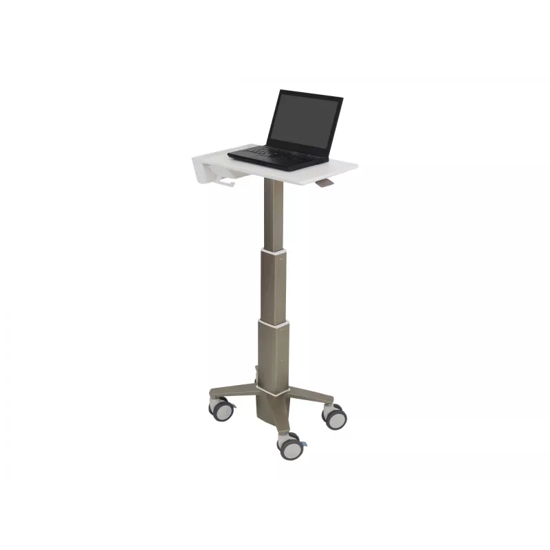 Klēpjdatora statīvs Ergotron C50-1100-0 Pelēks 39.6 cm