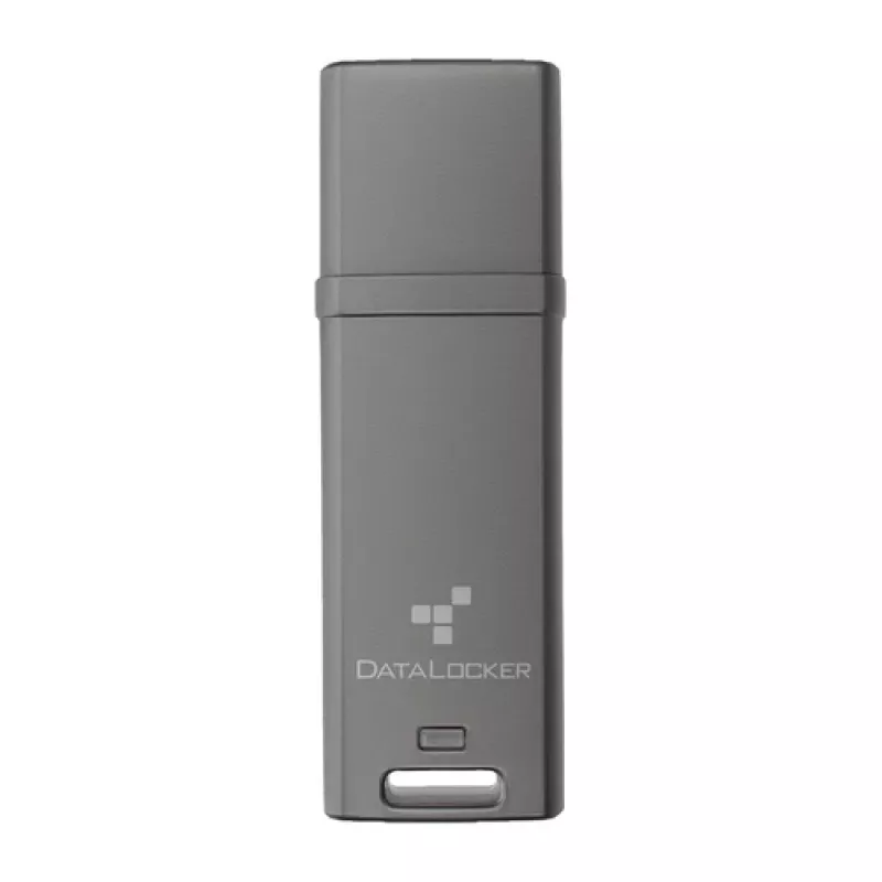 DataLocker 16GB DL GO 256BIT - USB 3.2 gen 1 zibatmiņa - dažādas krāsas (DLGO-016)
