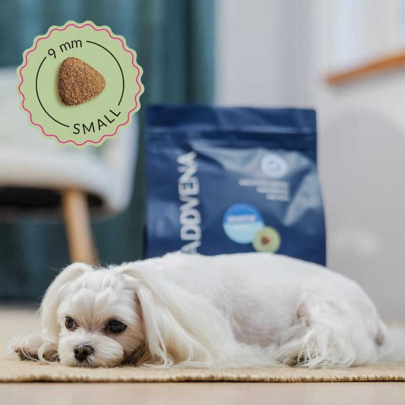 ADDVENA Power of Nature Adult Sensitive Small Lamb - sausā suņu barība - 2,5 kg