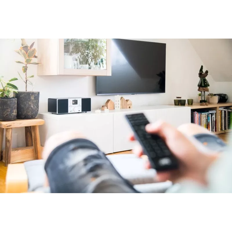 Torņa skaļrunis JVC RD-E874B Bluetooth 20W Melns Sudraba – uz grīdas novietojama audio sistēma