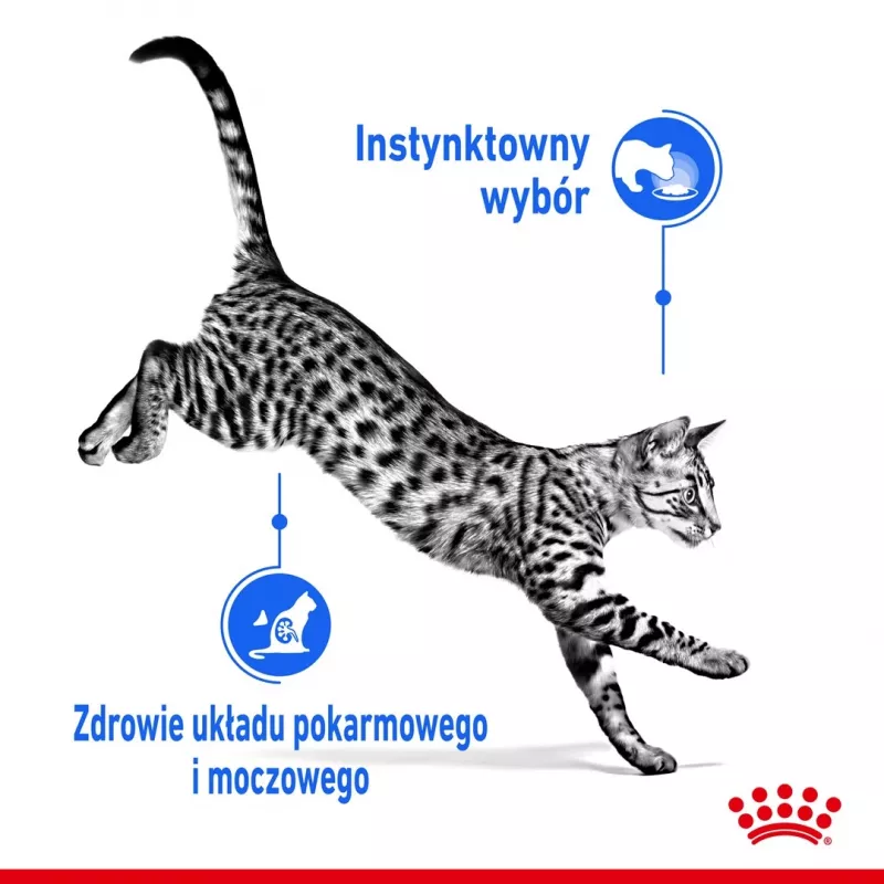 Mitrā kaķu barība Royal Canin Indoor Sterilized 85 g paciņa — pieaugušiem kastrētiem iekštelpu kaķiem, mājputnu garšas, iepakojumā 12 x 85 g