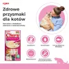 INABA Churu tunča ar garnelēm garšas kaķu gardumi - 4x14 g