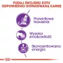 Sausā kaķu barība Royal Canin Sensible 33 Adult — 2 kg, olbaltumvielas 33%, tauki 22%, gremošanas atbalsts, mājputnu garša