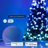 Twinkly Candies LED Ziemassvētku eglītes gaismiņas TWKC100RGB-T 6 M sveces formā