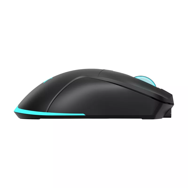 Pele Baracuda BGM-121 Turtle Melns USB