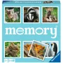 memory Tierkinder, Atmiņas spēle