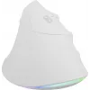 NATEC Crake 2 Pro pele Universāla Labās rokas USB Type-A Optiskā 12800 DPI