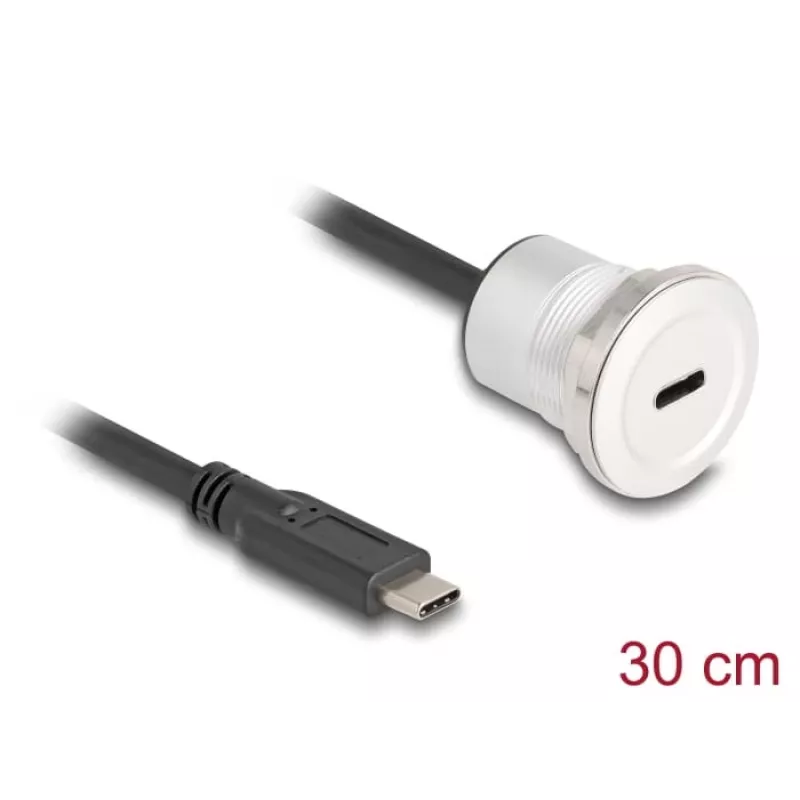 USB kabelis DeLOCK 88183 0,3 m USB C Melns Sudrabains