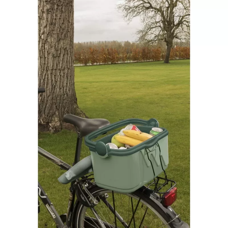 Pārnēsājams ledusskapis Curver 261196, 10 L, zaļš, polipropilēns, bez BPA, 1,13 kg, rokturis