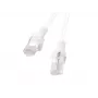 PATCHCORD Cat.6 UTP 1.5M balts FLUKE PĀRBAUDĪTS LANBERG 10 IEPAKOJUMS