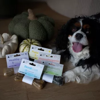 PAKA ZWIERZAKA Pepe Vet Healthy Joints suņu gardums 13,5 cm