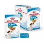 ROYAL CANIN SHN Mini Puppy mērcē - mitrā kucēnu barība - 12X85g