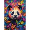 Panda Bear in the Rainbow Forest, Puzzle 1000 gabali