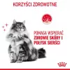 ROYAL CANIN Hair&Skin Care Adult - sausā kaķu barība - 400g