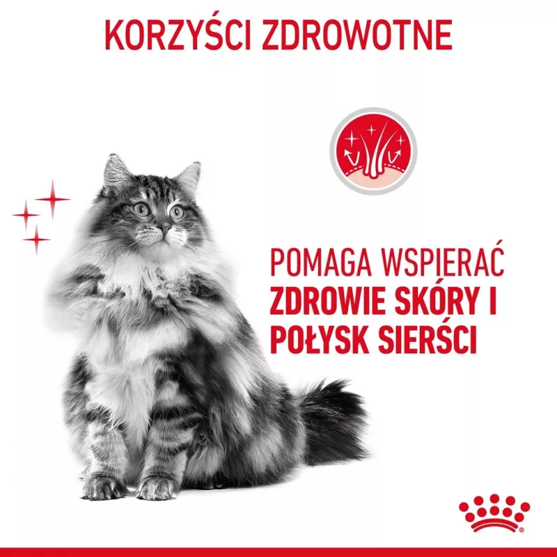 ROYAL CANIN Hair&Skin Care Adult - sausā kaķu barība - 400g