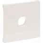 Legrand SEANO vāka plāksne 765165 f.Savienojuma ligzda F-tipa 5. izstrādājumā (765165)