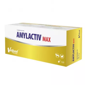 Uztura bagātinātājs Vetfood Amylactiv MAX — gremošanas atbalsta tabletes suņiem un kaķiem, 120 kapsulas, 100 g, bez sojas un lipekļa